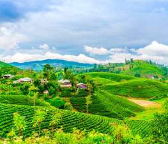Sightseeing Points Darjeeling