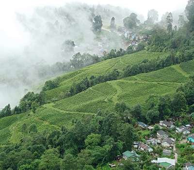 Darjeeling